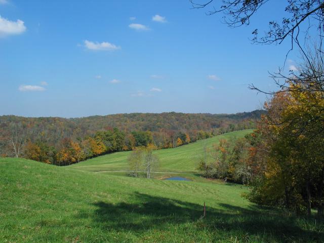 View side, looking North