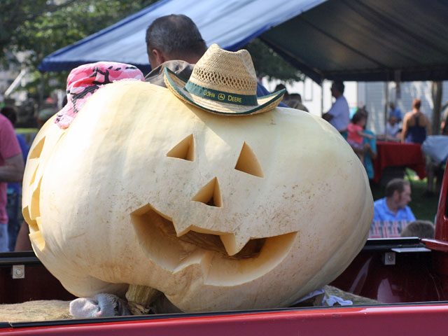 2016 Versailles Pumpkin Show